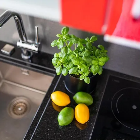 Meeresbrandung Seaside Apartment Norderney