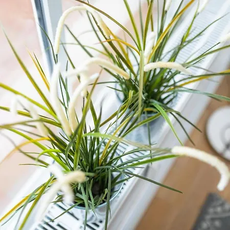 Apartment Meeresbrandung Seaside *